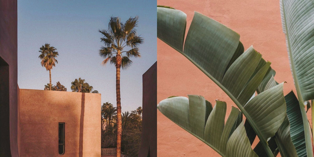 The Marrakech capsule