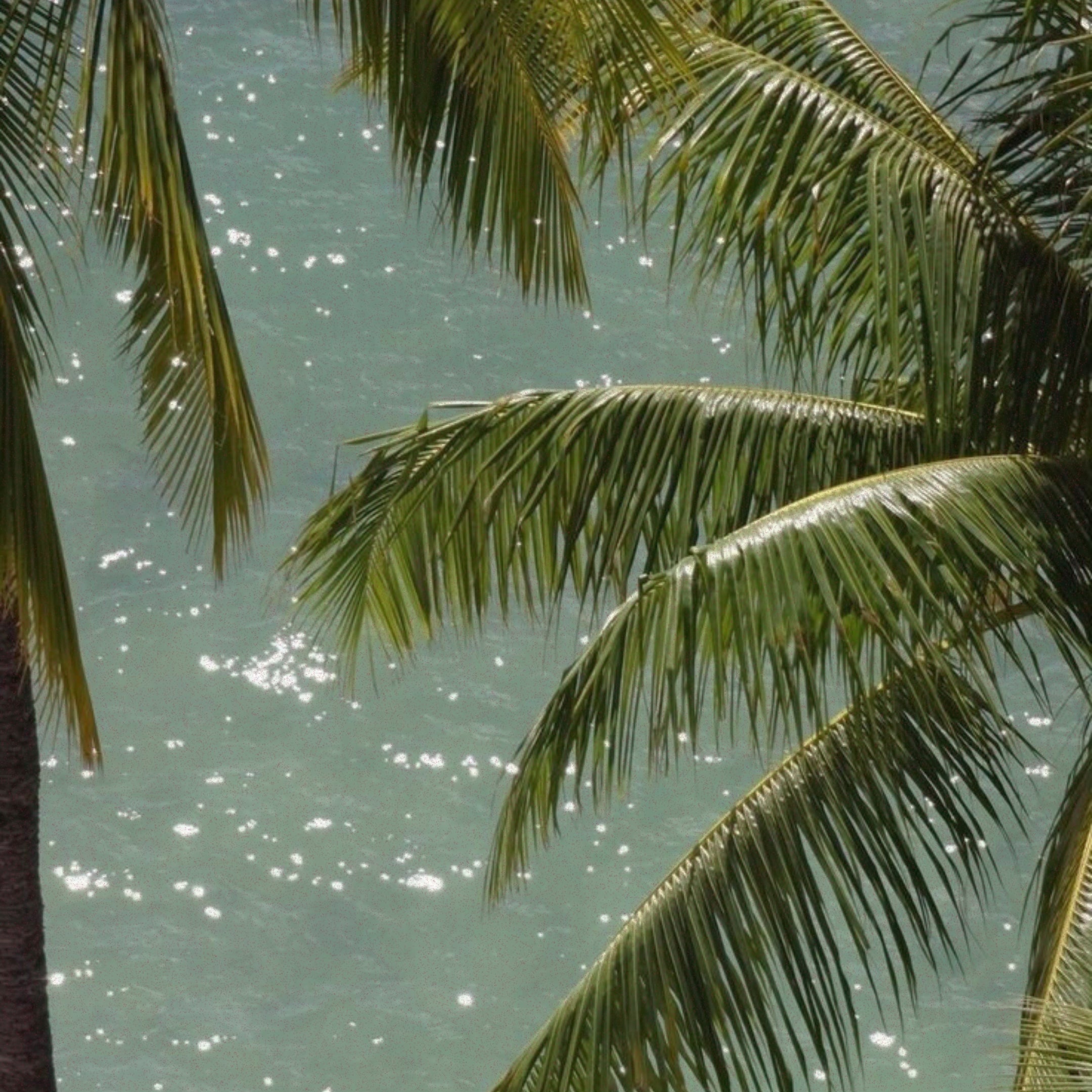 El Nido capsule